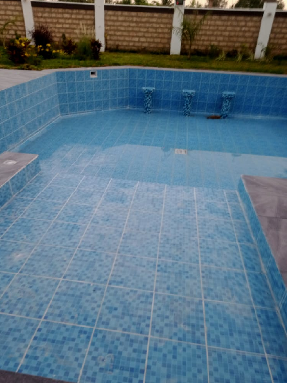 Swimming pool construction & installation,
